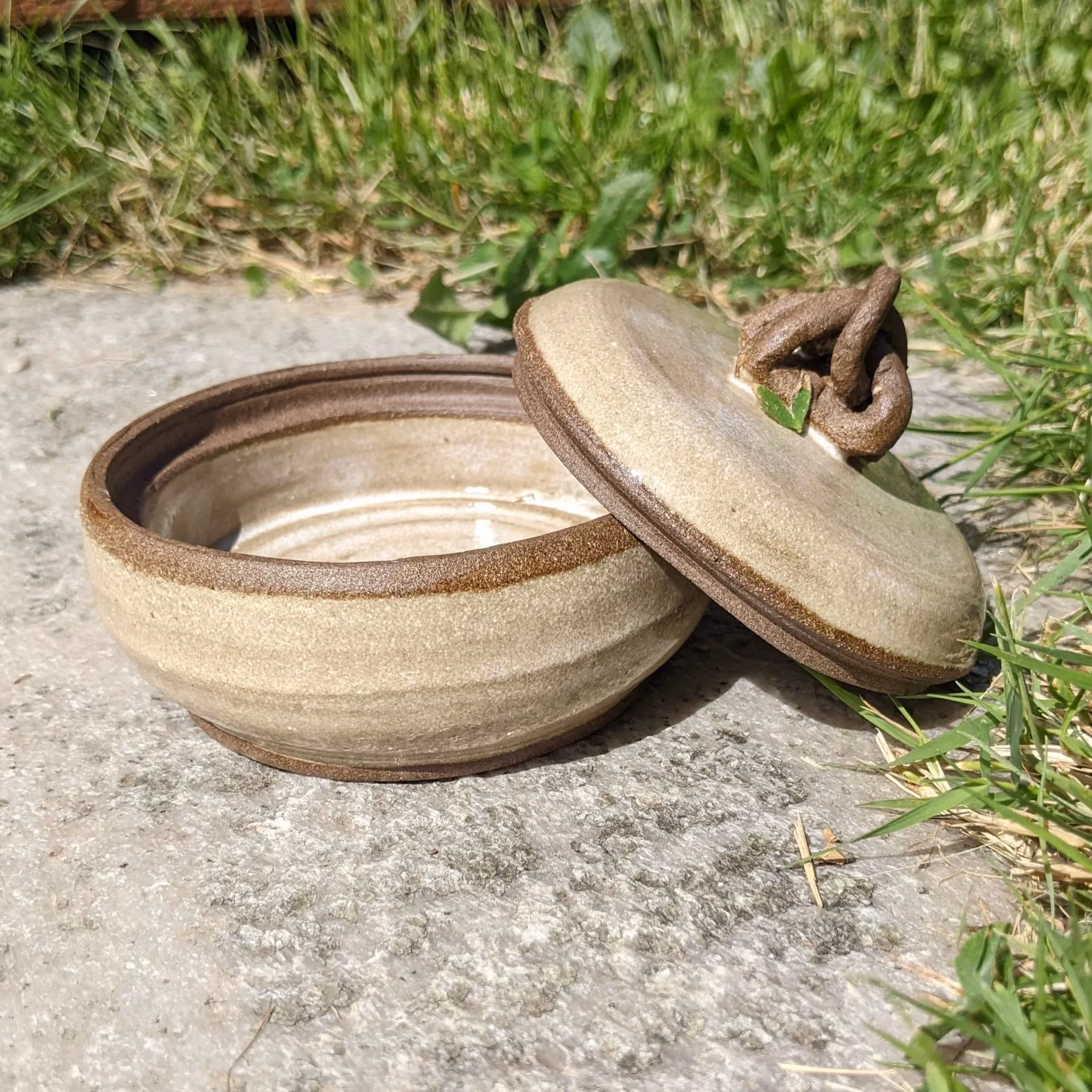 A small ceramic bowl with a matching lid resting on a concrete surface, surrounded by grass.